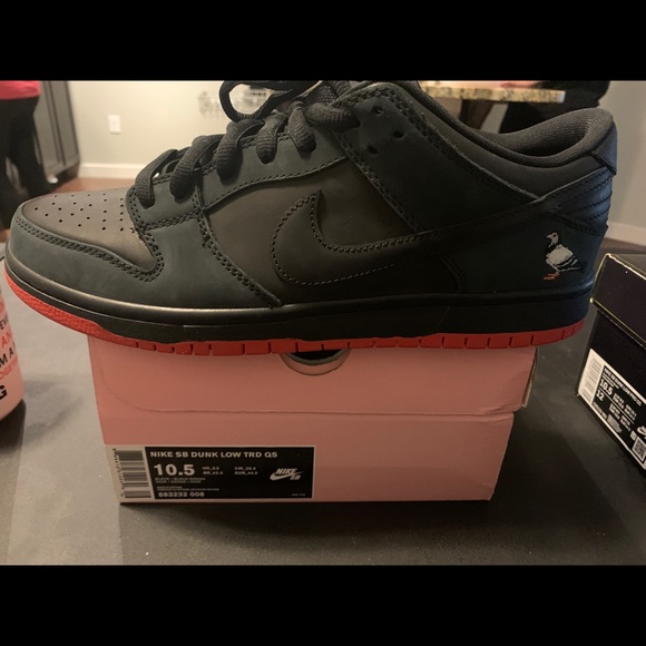 Nike SB pigeon Dunks